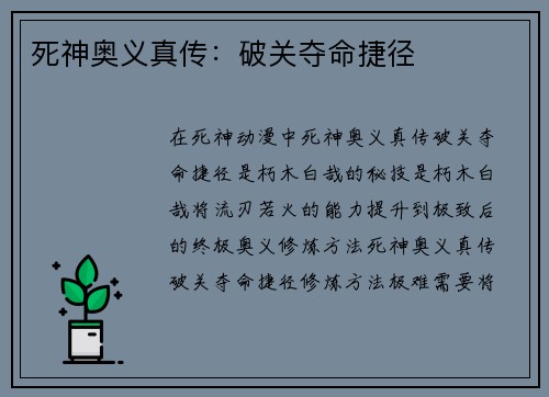 死神奥义真传：破关夺命捷径