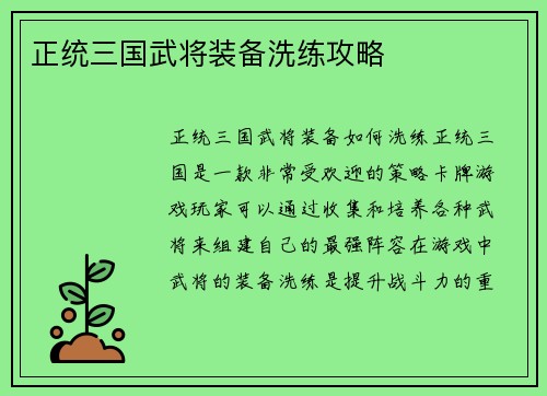 正统三国武将装备洗练攻略